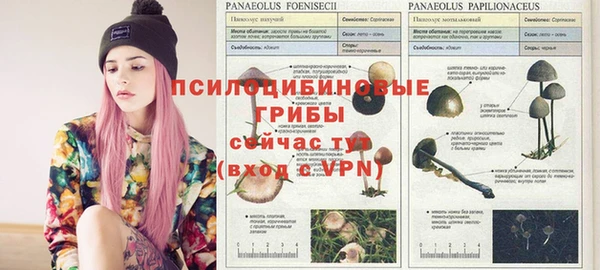 наркотики Аркадак